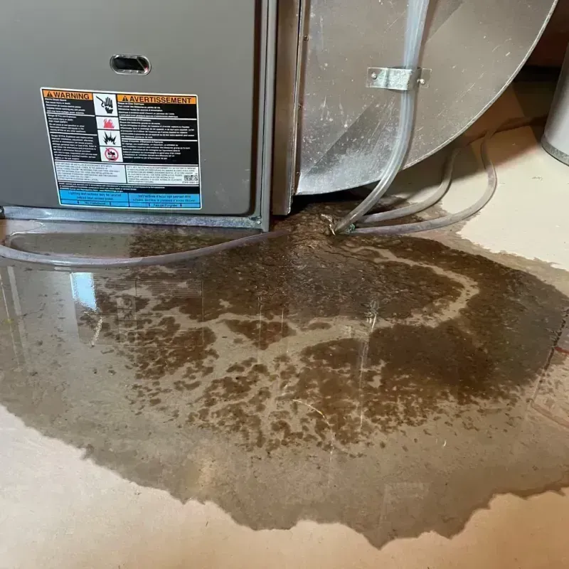 Appliance Leak Cleanup in Gallatin County, IL